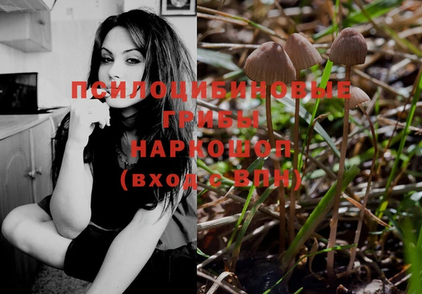 соль ск Аркадак
