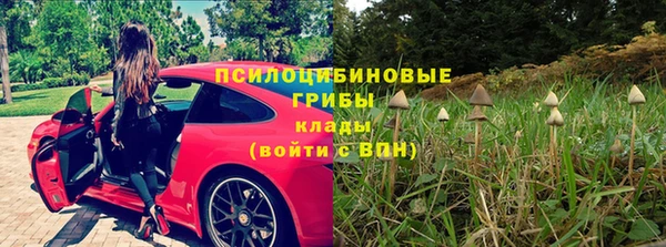 прущая мука Армянск
