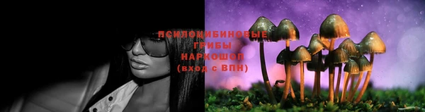 соль ск Аркадак